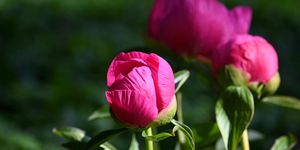 A kép illusztráció. Kép forrása: Pixabay.com