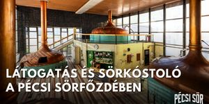 Pécsi sörtúra 2025. Izgalmas sörfőzde gyárlátogatás felejthetetlen sörkóstolással minden szombaton