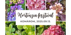 Hortenzia Fesztivál 2025 Komárom