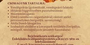 Aktív osztálykirándulás ősszel a Kincsem Lovasparkban a felejthetetlen közös élményekért