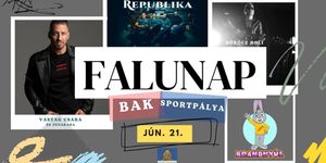 Bak Falunap 2025