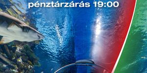 2025. augusztus 20 Budapest Tropicarium látogatás