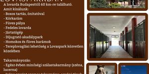 Ló bértartás Pest megyében a Kincsem Lovasparkban