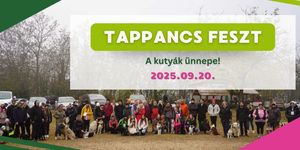 Tappancs Feszt 2025 Budapest. Egy felejthetetlen élmény a kutyáddal!