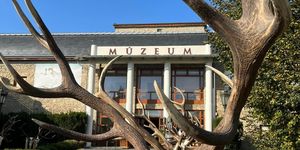 Trófeakiállítás Keszthelyen a Vadászati Múzeumban, tekintse meg öt kontinens több mint 200 vadfajának trófeáját