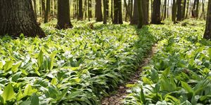 A fotó illusztráció