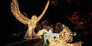 Fénykiállítás Pécs 2025. Tündérfények világa a mesebeli fényerdőben