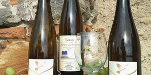 Dűlőtúra Abaújszántón 2026 - Bortúra a Tokaji borvidéken 