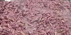 Böllérmáj és Gasztronómiai Fesztivál 2026 Kapuvár