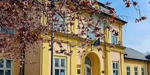 Ács programok 2025.  Rendezvények, események