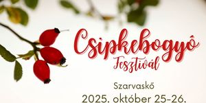Csipkebogyó-fesztivál Szarvaskő 2025