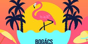 Bogácsi Egészségnap 2025. Strand Egészség- és Sportfesztivál Czanik Balázzsal