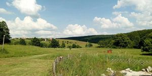 Gyűrűfűi ökofalu séta, fedezze fel a természet szépségeit és a település értékeit!