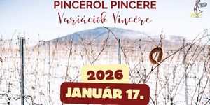 Villány Vince-nap 2026. Pincéről pincére, variációk Vincére