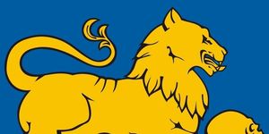 Mogyorósi Napok Litér 2025