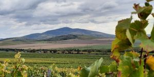 Tokaji programok 2025 / 2026. Események, rendezvények, fesztiválok