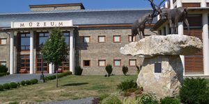 Vadászati Múzeum Keszthelyen nem csak vadászoknak, élményprogramok sokasága trófeakiállítással és afrikai esőerdővel