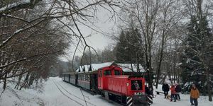 Királyréti Erdei Vasút program 2025