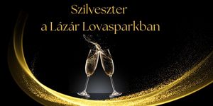 Szilveszteri buli Domony 2025. Elegáns szilveszteri party és vacsora a Lázár Lovasparkban