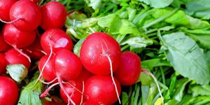 A fotó illusztráció. Forrás: Pixabay.com