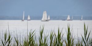 Illusztrációs fotó - Pixabay.com