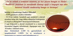 Darules a Hortobágyon, daruvonulás néző élménytúra a Szabics Kikötő szervezésében Darules a Hortobágyon, daruvonulás néző élménytúra a Szabics Kikötő szervezésében