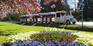 Zalakarosi kisvonatozás városnéző élményprogram DOTTO kisvonattal