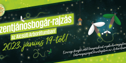 Szentjánosbogár rajzás 2023. Szentjánosbogár tánc és éjszakai fényjáték az Alcsúti Arborétumban