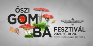 Gombakiállítás Budapest 2023. Kucsmagomba Napok a Magyar Természettudományi Múzeumban