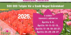 Tulipánszüret Tisza-tó 2025 Abádszalók