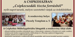 Pécselyi Csipkeház programok 2023
