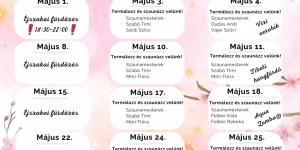 Agárdi Gyógy- és Termálfürdő  programok 2023