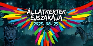 Állatkertek Éjszakája Debrecen 2025