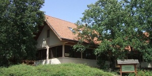 Természet tábor 2019. Vadaspark nyári napközis tábor általános iskolásoknak Természet tábor 2019. Vadaspark nyári napközis tábor általános iskolásoknak