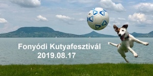 Kutyafesztivál Budapest 2018. Dogmopolitan Jótékonysági Kutyafesztivál Kutyafesztivál Budapest 2018. Dogmopolitan Jótékonysági Kutyafesztivál