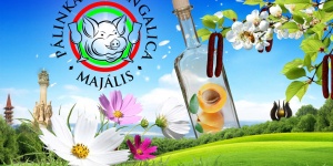Pálinka és Mangalica Majális 2023 Zalaegerszeg