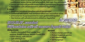 Szüreti fesztivál a Balatonnál, szüreti vacsoraajánlatok a Szent Kristóf Pincészetben Szüreti fesztivál a Balatonnál, szüreti vacsoraajánlatok a Szent Kristóf Pincészetben