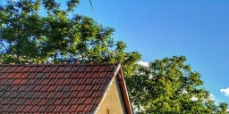 Fröccsözön Hajós 2023. Nyári pincenyitogató a Hajósi Pincefaluban