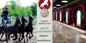 Rádpuszta lovas program 2019. Rádi lovasdélután a Gasztro Élménybirtokon Rádpuszta lovas program 2019. Rádi lovasdélután a Gasztro Élménybirtokon