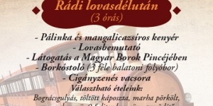 Rádpuszta lovas program 2018. Rádi lovasdélután a Gasztro Élménybirtokon Rádpuszta lovas program 2018. Rádi lovasdélután a Gasztro Élménybirtokon