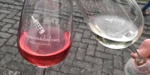 Márton-napi Bormustra 2025 Nemesnádudvar
