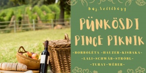 Nyitott Pincenapok  Baj 2024. Pünkösdi Pince Piknik a Baji Szőlőhegyen