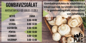 Gombavizsgálat Szombathely 2023. Keddtől vasárnapig minden nap várjuk a Vásárcsarnokban