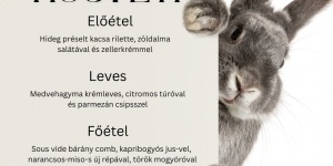 Brix Bistro program Hévíz 2025