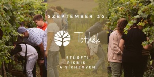 Szüreti piknik Eger 2025. Látványszüret a Síkhegyen a Tóth Ferenc Pincészetben