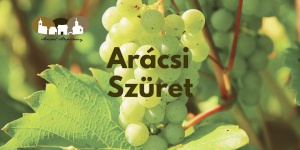 Arácsi Szüret 2023 Balatonfüred