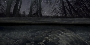 Természetfotózás, Naturart - 25 év legszebb természetfotói a Magyar Nemzeti Múzeumban Természetfotózás, Naturart - 25 év legszebb természetfotói a Magyar Nemzeti Múzeumban