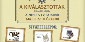 Magyar Természettudományi Múzeum időszaki kiállítás: PORONDON A KIVÁLASZTOTTAK - 2019-es év fajai Magyar Természettudományi Múzeum időszaki kiállítás: PORONDON A KIVÁLASZTOTTAK - 2019-es év fajai