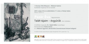 Feledy-ház Miskolc - Pazár Éva képzőművész kiállítása: Talált tájaim - Évgyűrűk Feledy-ház Miskolc - Pazár Éva képzőművész kiállítása: Talált tájaim - Évgyűrűk