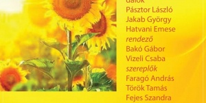 Pilisvörösvári színház, a Viktória című operett a Művészetek Házában Pilisvörösvári színház, a Viktória című operett a Művészetek Házában
